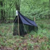 Inventaire des Syrphes au Marais de Reilly (60)
