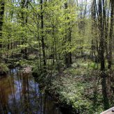 Nos milieux : l’Artoise : une rivière labellisée.