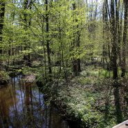 Nos milieux : l’Artoise : une rivière labellisée.