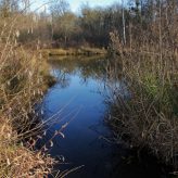 Nos Milieux : les marais de Bourneville (Oise 60)