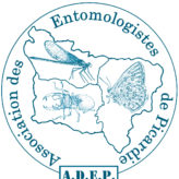 Bulletin de l’ADEP en ligne : année 2009