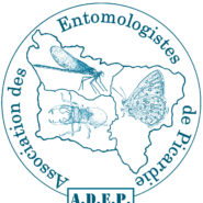 Bulletin de l’ADEP en ligne : année 1991