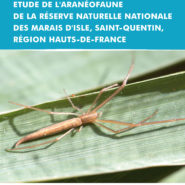 Rapport d’Etude de l’aranéofaune de la réserve de St-Quentin, Marais d’Isle. ADEP 2016