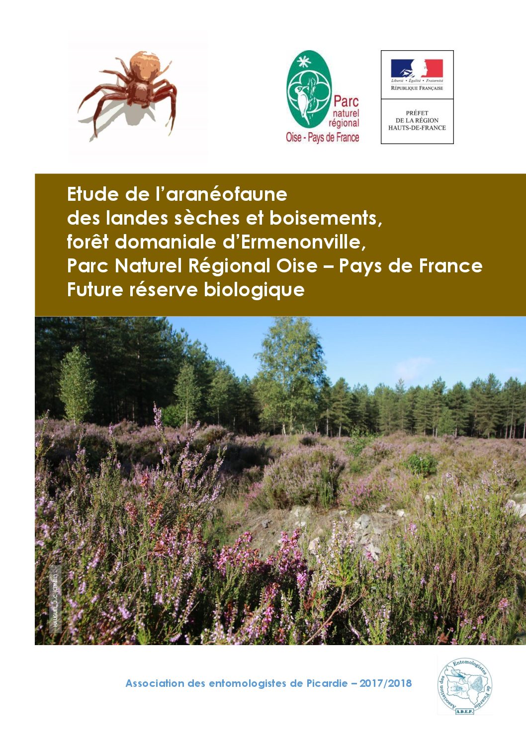 Rapport d’étude aranéologique en forêt d’Ermenonville : ADEP 2018