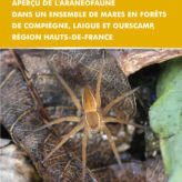 Rapport d’étude : Araignées des mares forestières de Compiègne, Laigue et Ourscamp 2017