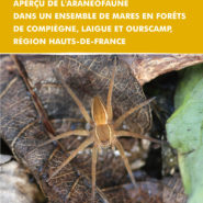 Rapport d’étude : Araignées des mares forestières de Compiègne, Laigue et Ourscamp 2017