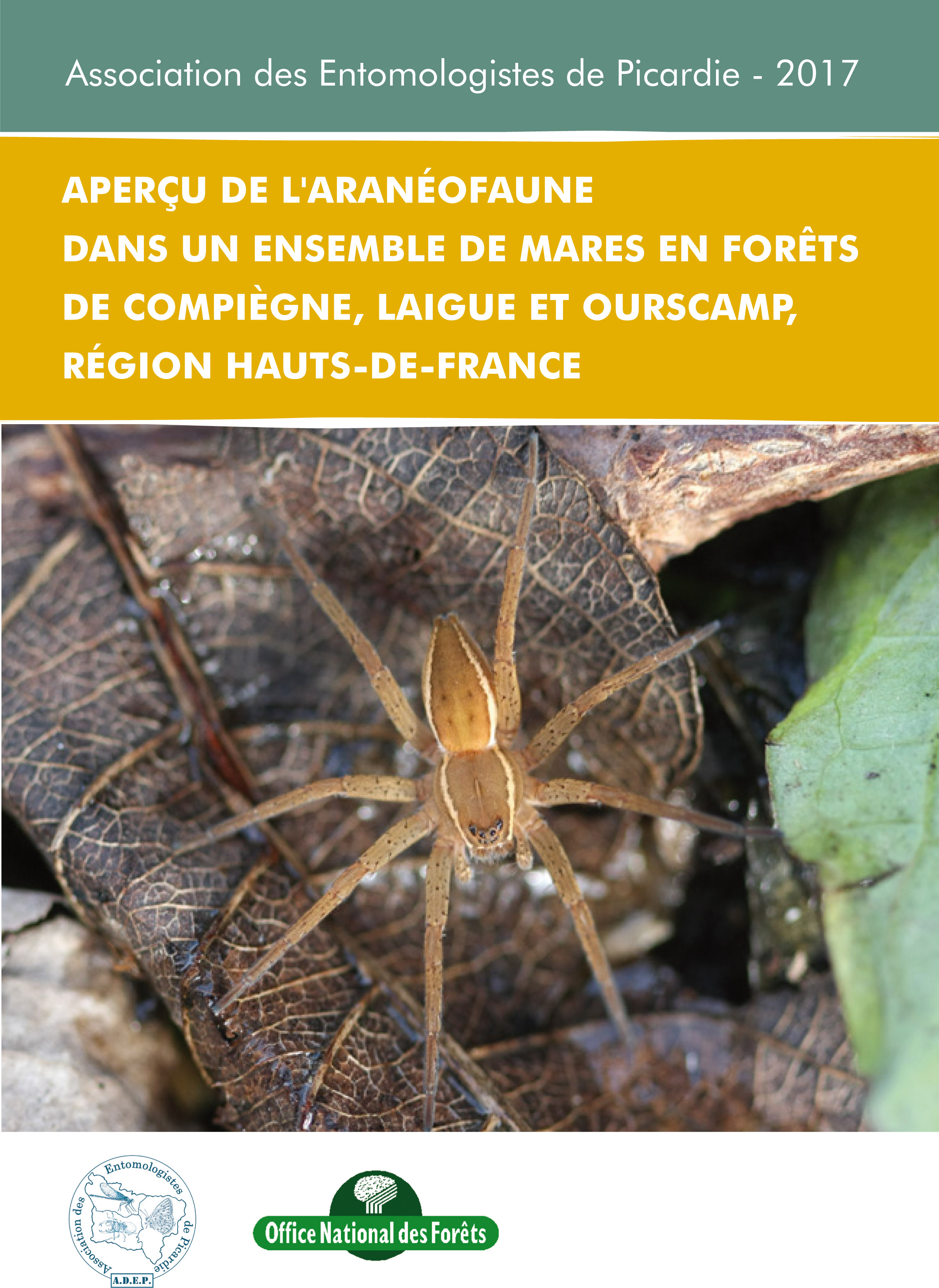Rapport d’étude : Araignées des mares forestières de Compiègne, Laigue et Ourscamp 2017