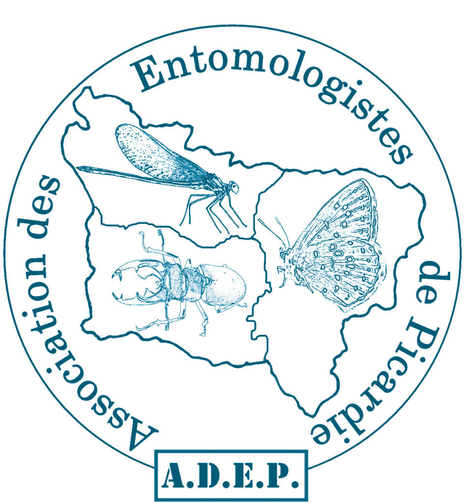 l’ADEP et son histoire | ADEP entomologie